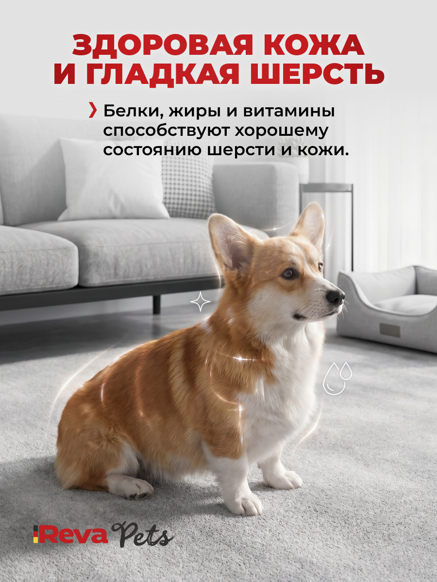 Корм для собак Reva Care сухой полнорационный для собак всех пород с говядиной, 2 кг - фото 8
