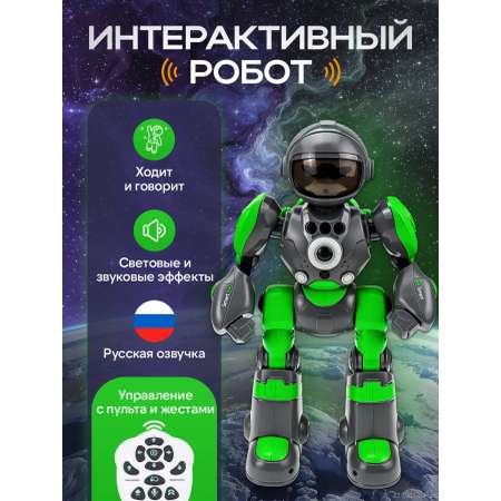 Робот РУ Рыжий кот