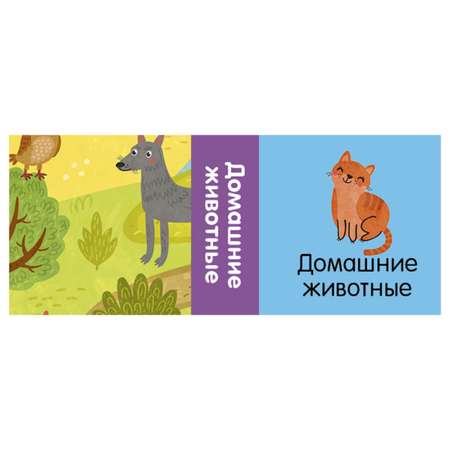 Книга Clever Познаем мир вместе Мои любимые животные 15 книжек кубиков