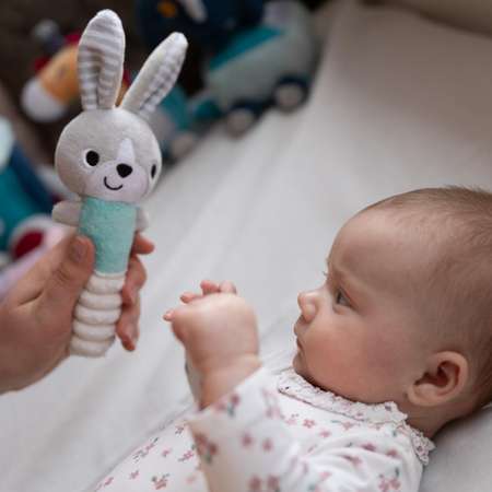 Игрушка Babyono погремушка