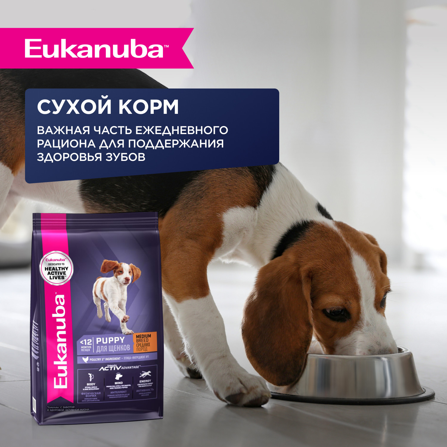Корм для щенков Eukanuba 85г с курицей в соусе пауч - фото 6