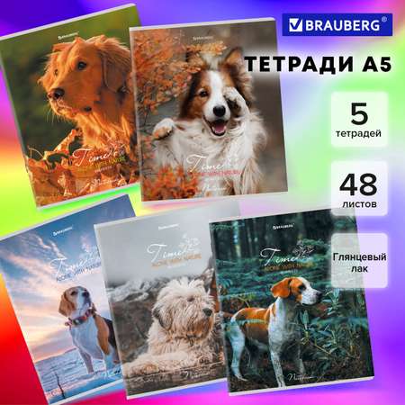 Общая тетрадь Brauberg клетка 48 лист. 5 шт.