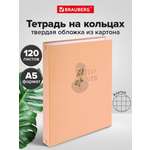 Тетрадь со сменным блоком Brauberg клетка 120 лист.