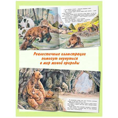 Комплект книг Фламинго Сказки для детей Рассказы о животных Приключения Бельчонка Слоненка Медвежонка Львенка