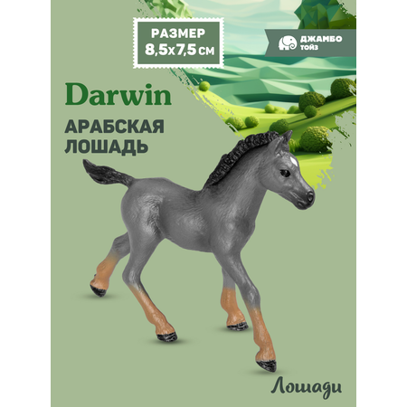 Фигурка DARWIN Животные Лошадь