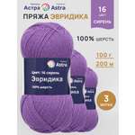 Пряжа Astra Premium Эвридика шерстяная 100 г 200 м 16 сирень 3 мотка