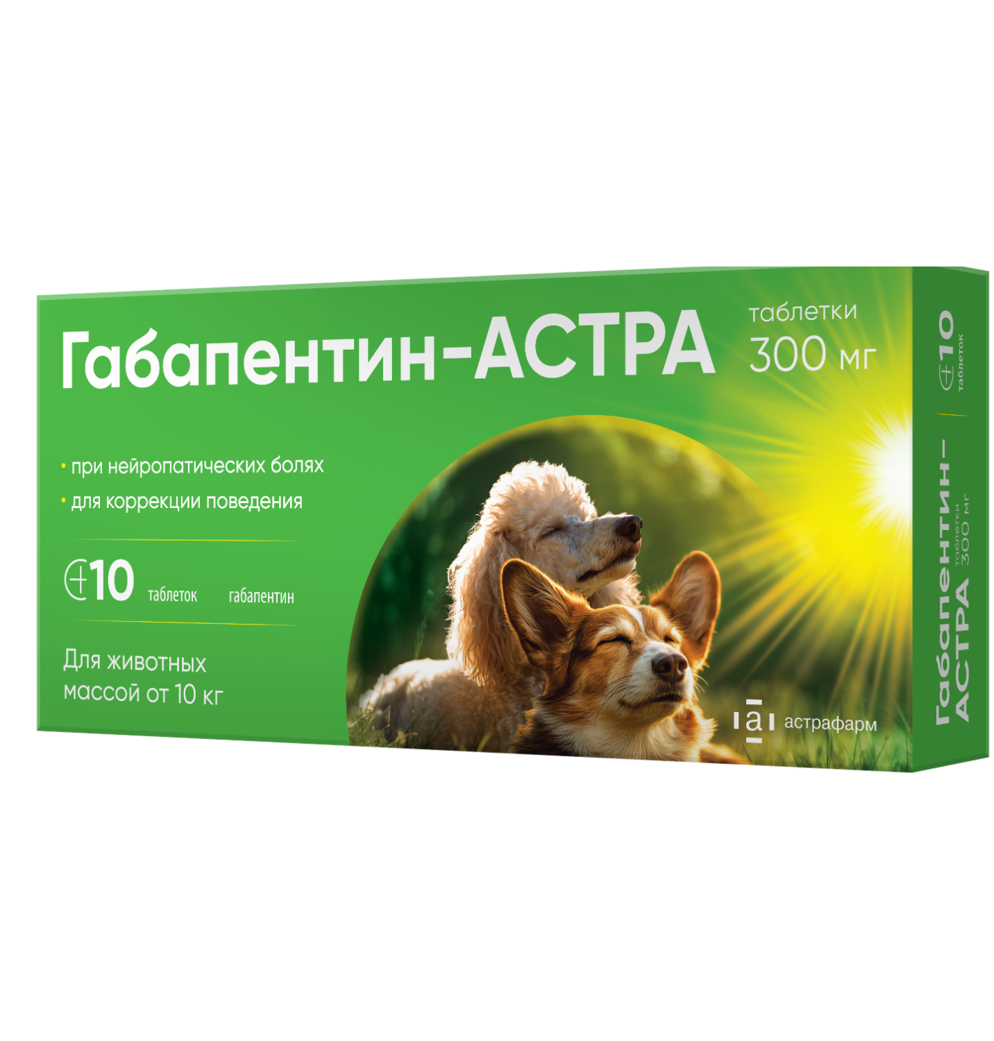 Препарат успокаивающий Астрафарм Габапентин-АСТРА таблетки 300мг 10 таблеток - фото 1