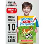 Раскраска Проф-Пресс Водная Макси. Домашние животные