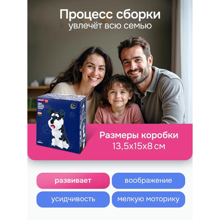 Конструктор Рыжий кот Balody Шнауцер