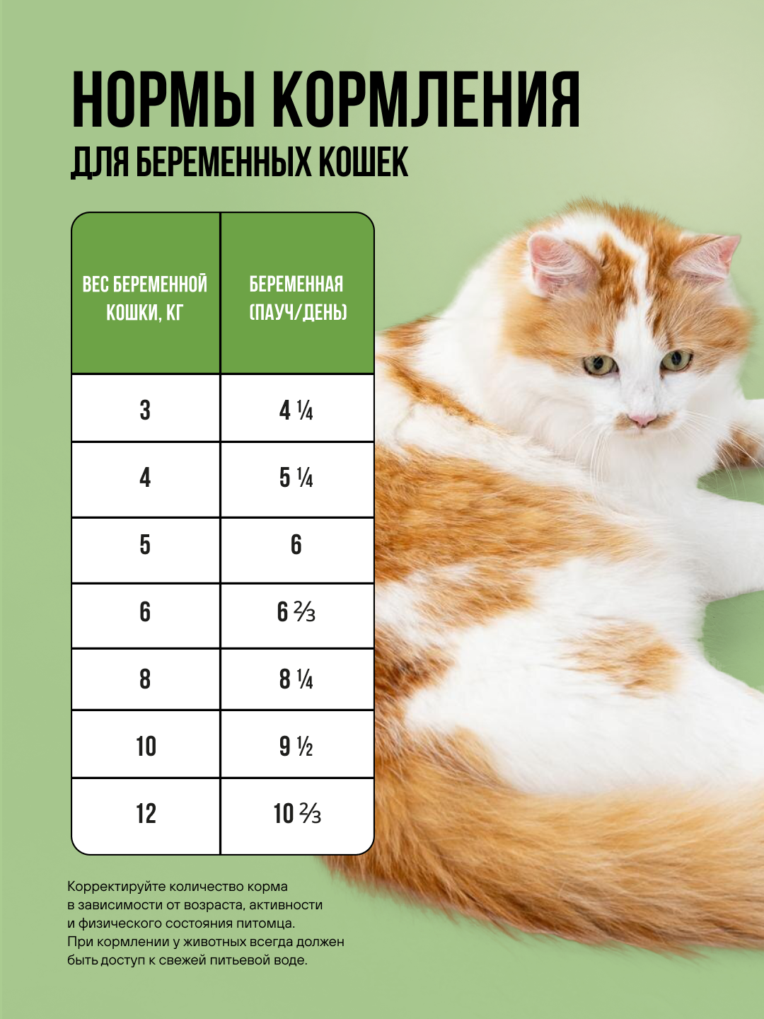 Полнорационный влажный корм BOWL WOW в соусе для котят и беременных кошек с ягненком и овощами 85г - фото 5