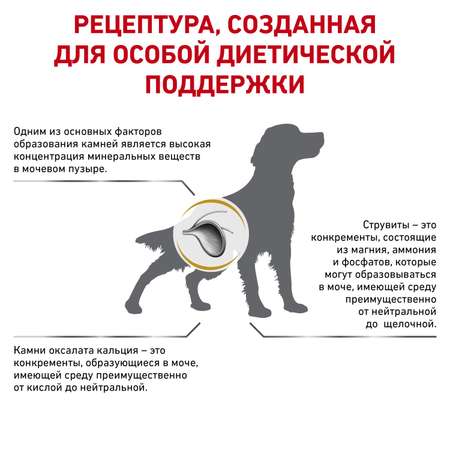 Корм для собак ROYAL CANIN Veterinary Diet Urinary S/O LP 18 при заболеваниях дистального отдела мочевыделительной системы 2кг