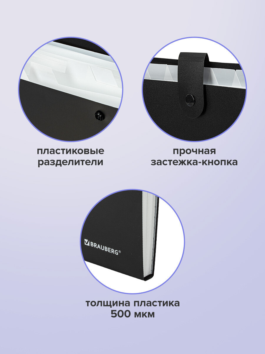 Папка-органайзер Brauberg А4 - фото 4