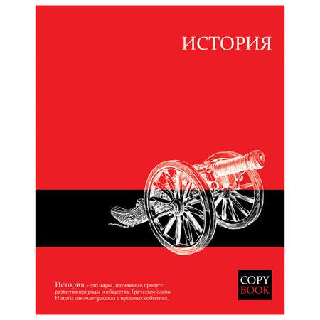 Тетрадь Феникс + (История)