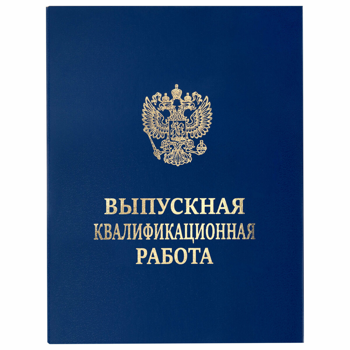 Папка-портфолио Staff А4 - фото 2
