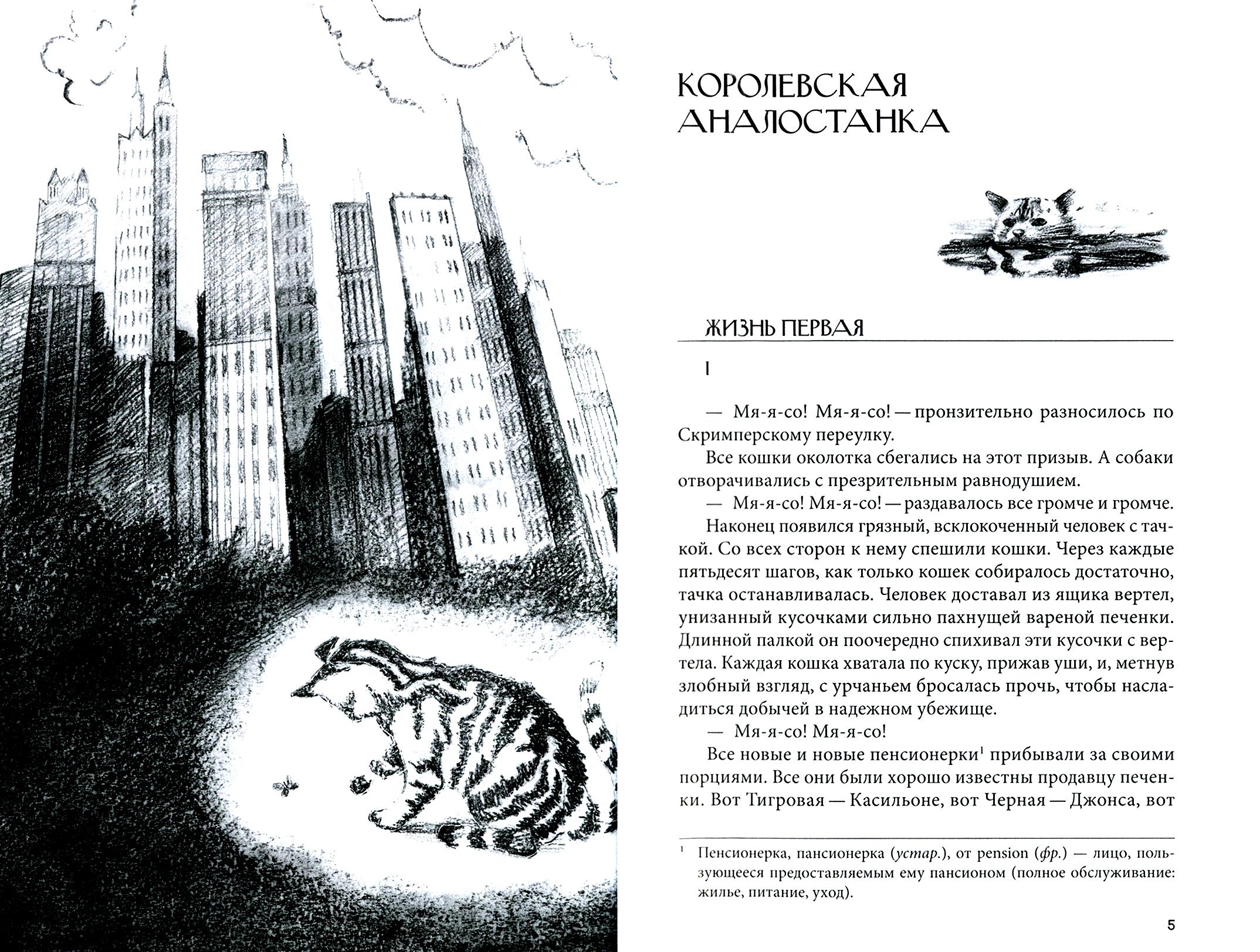 Книга Качели Кошка из трущоб и другие истории - фото 5