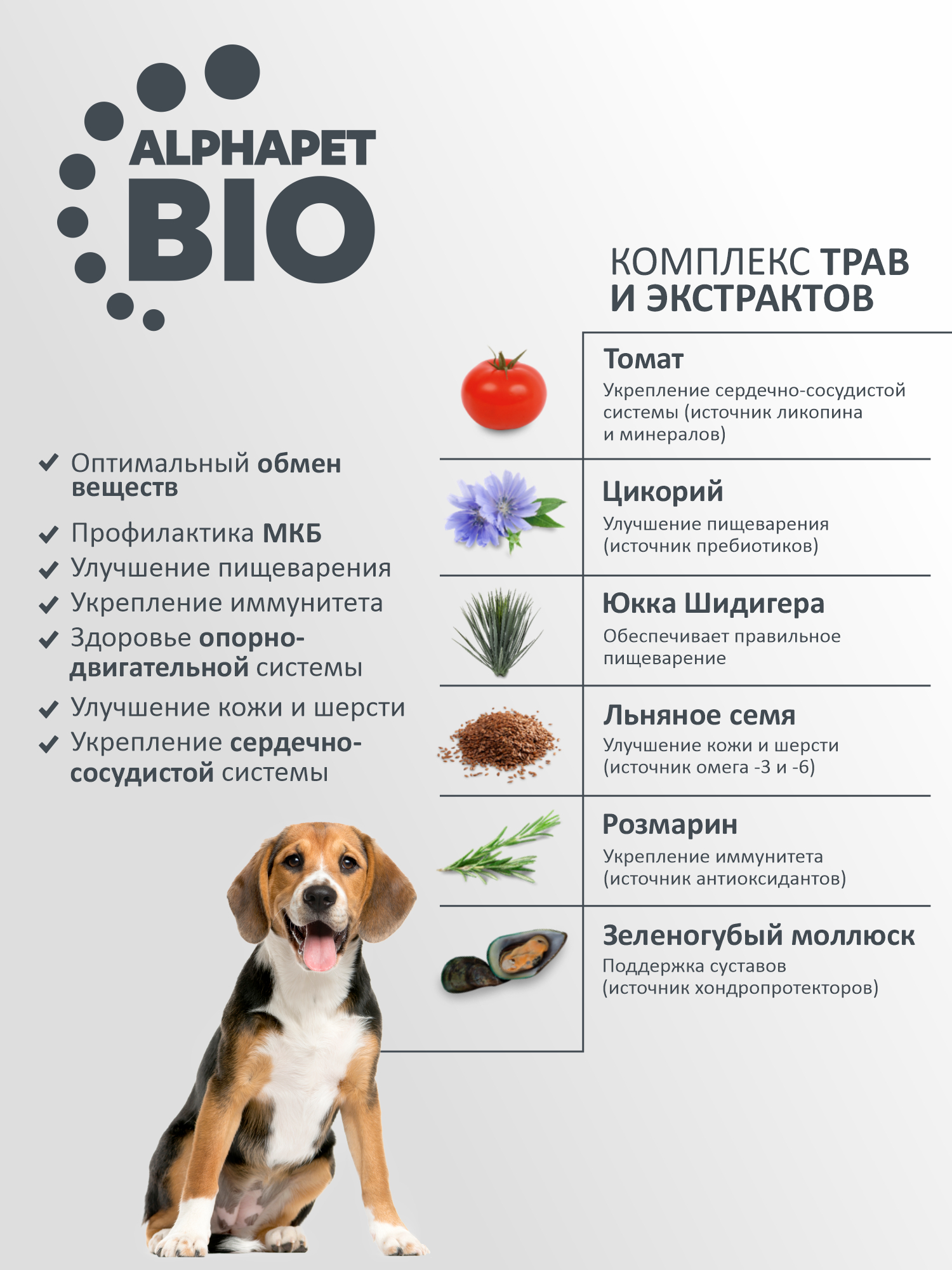 Сухой полнорационный корм AlphaPet с говядиной и сердцем для взрослых собак средних пород 7 кг - фото 5