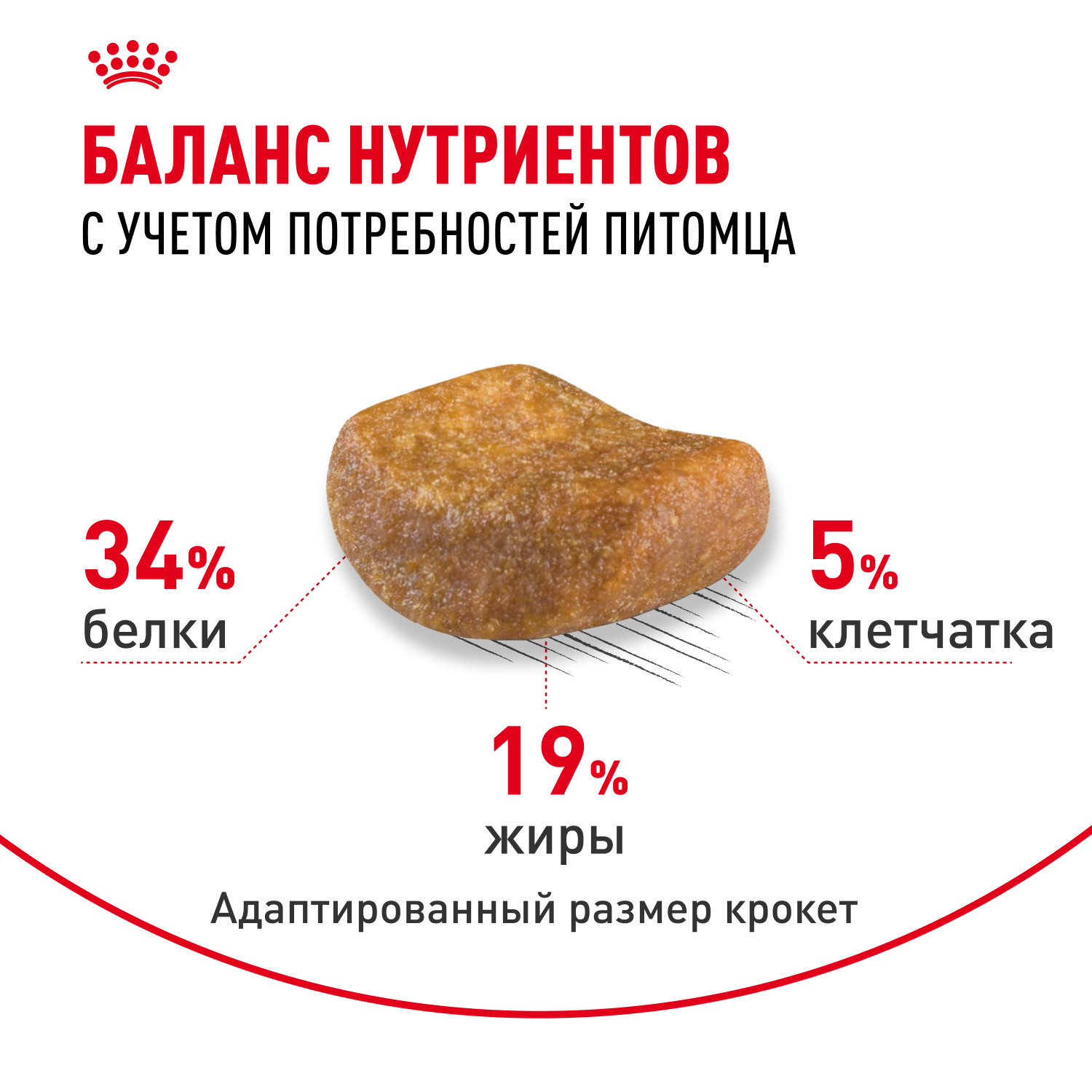 Корм сухой для кошек ROYAL CANIN British Shorthair 400г британской короткошерстной породы - фото 4