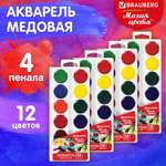 Краски акварель Brauberg 12 цв.