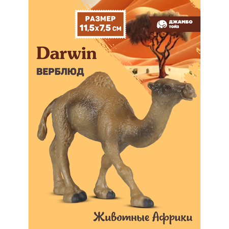 Фигурка DARWIN Животные Африки верблюд