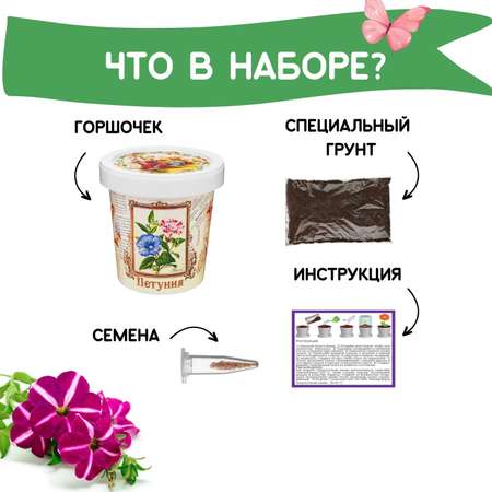 Набор для выращивания Rostok Visa