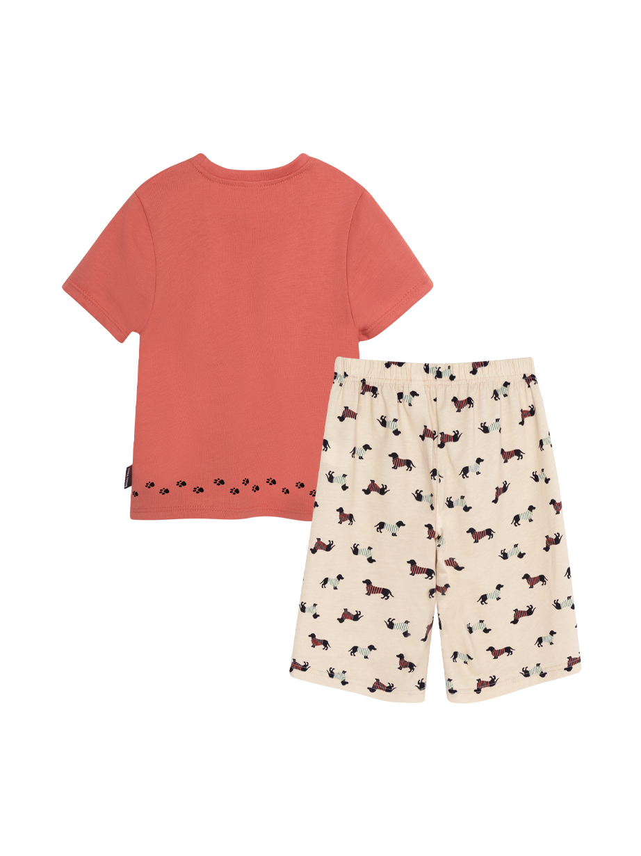 Пижама Bossa Nova 384М-161 - фото 6