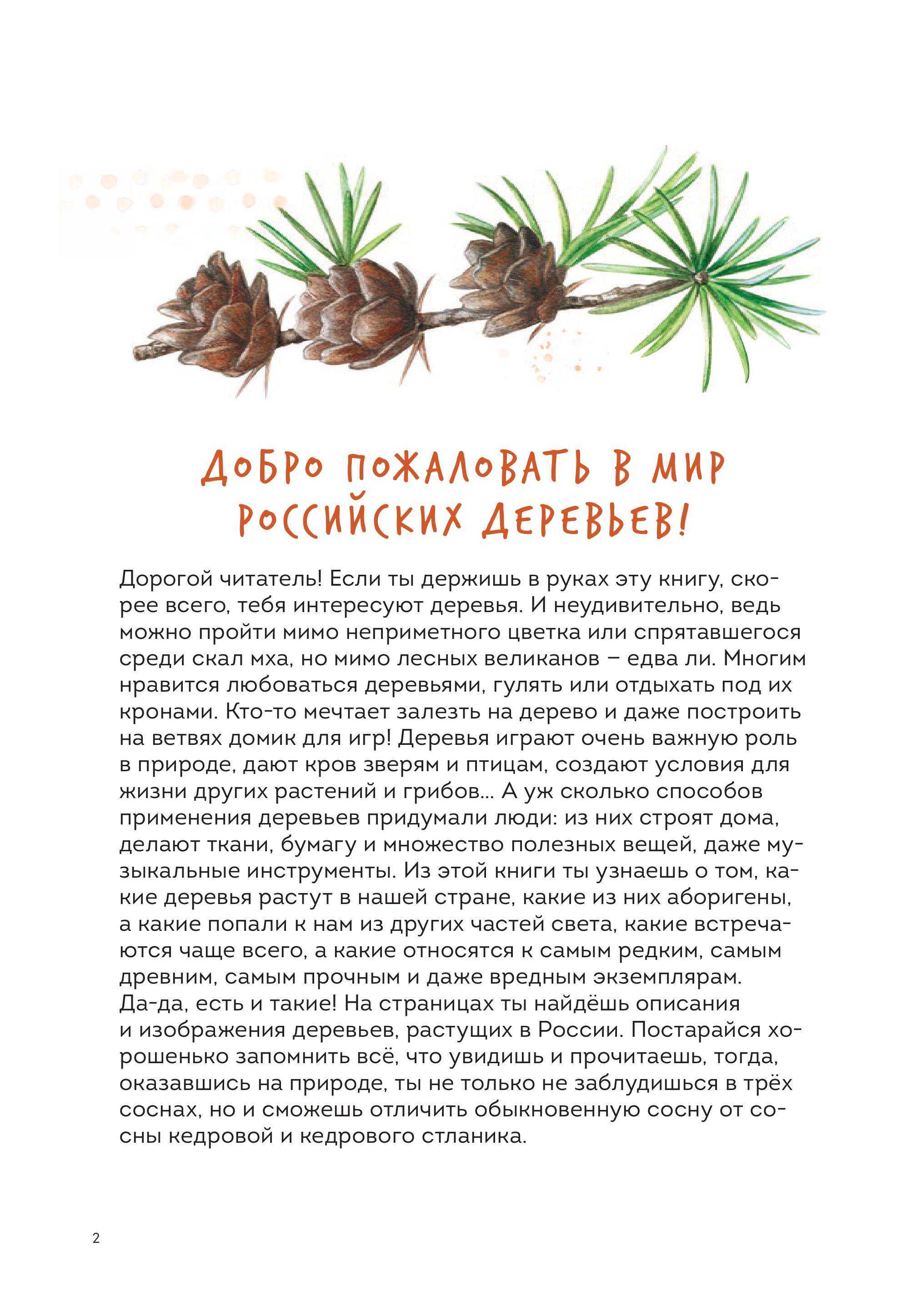 Книга МИФ Деревья. Атлас-определитель - фото 3