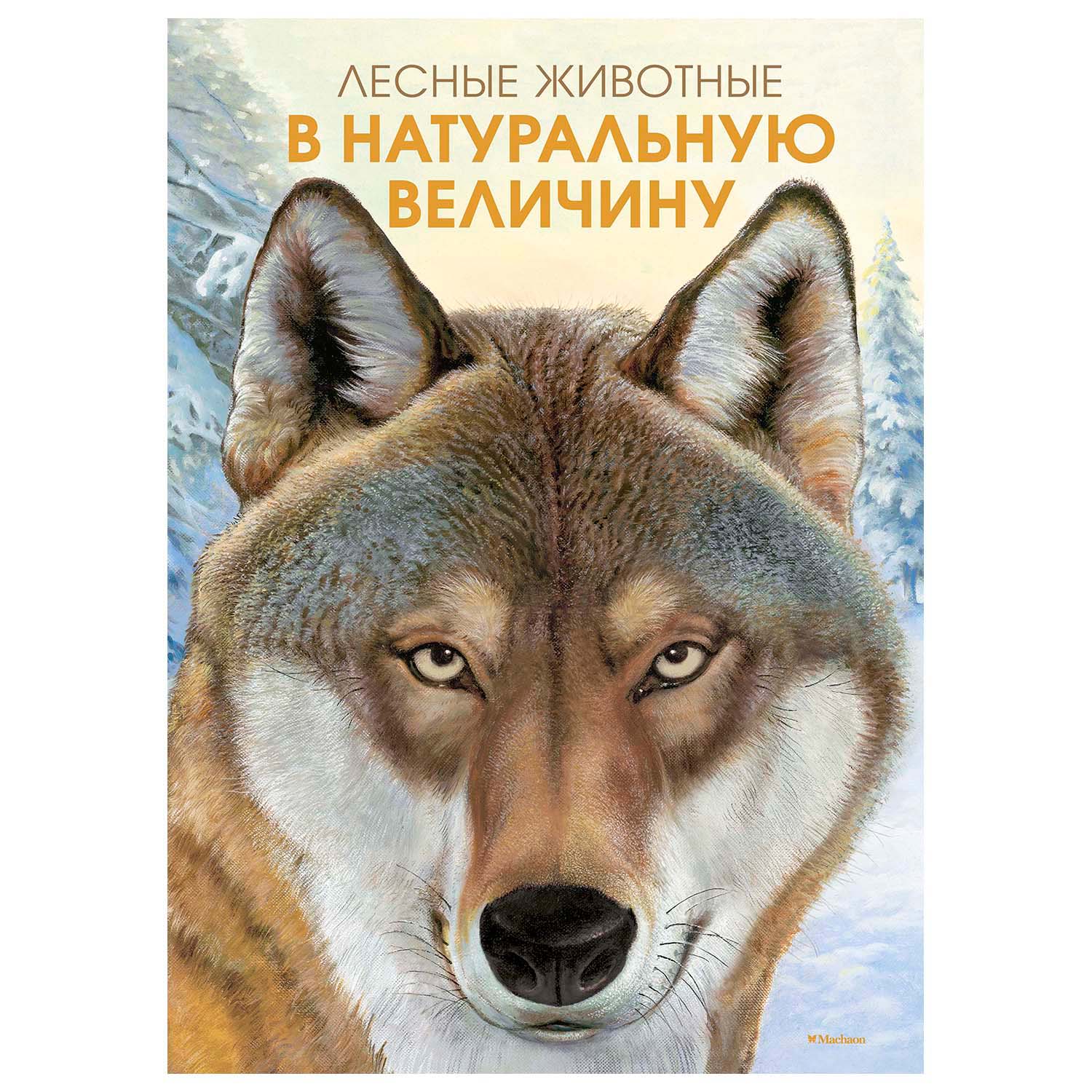 Книга Махаон Лесные животные в натур величину - фото 1