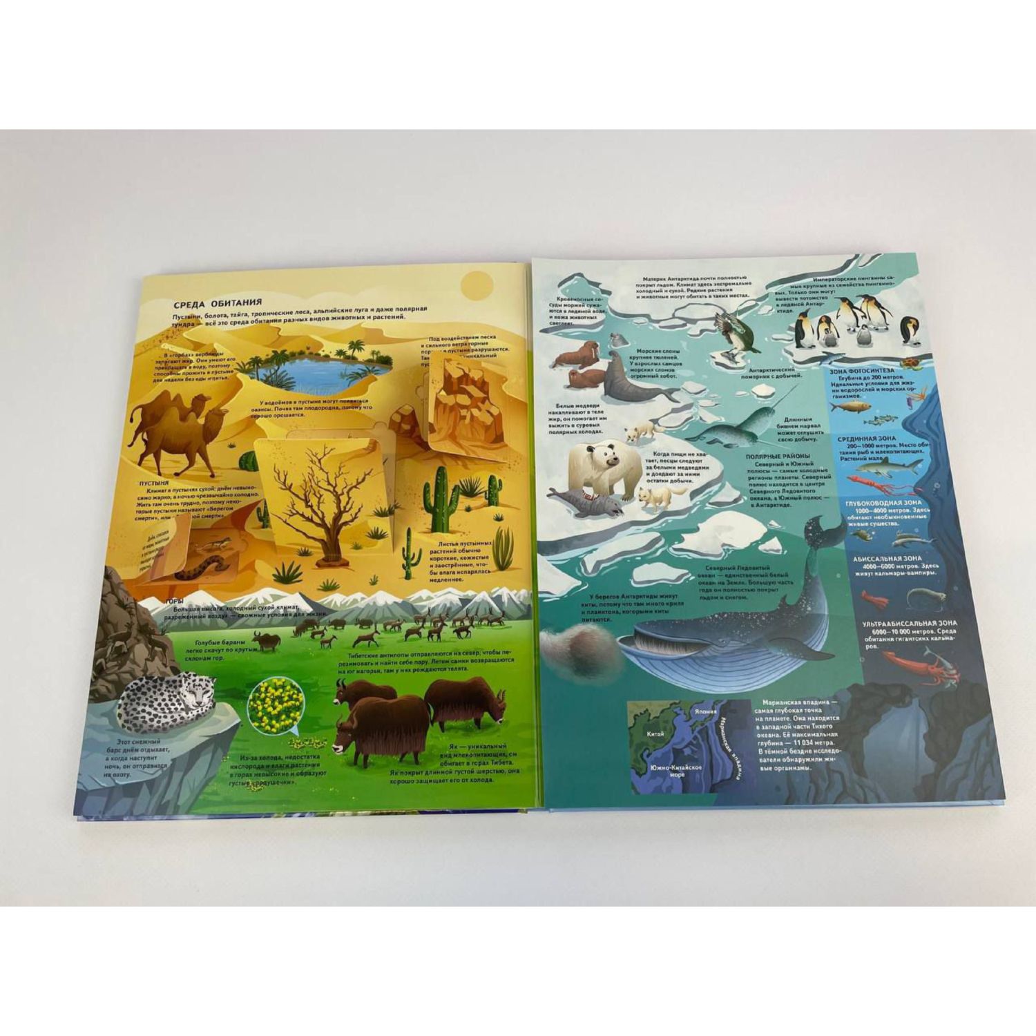 Книга Эксмо Планета Земля Большая 3D энциклопедия - фото 7
