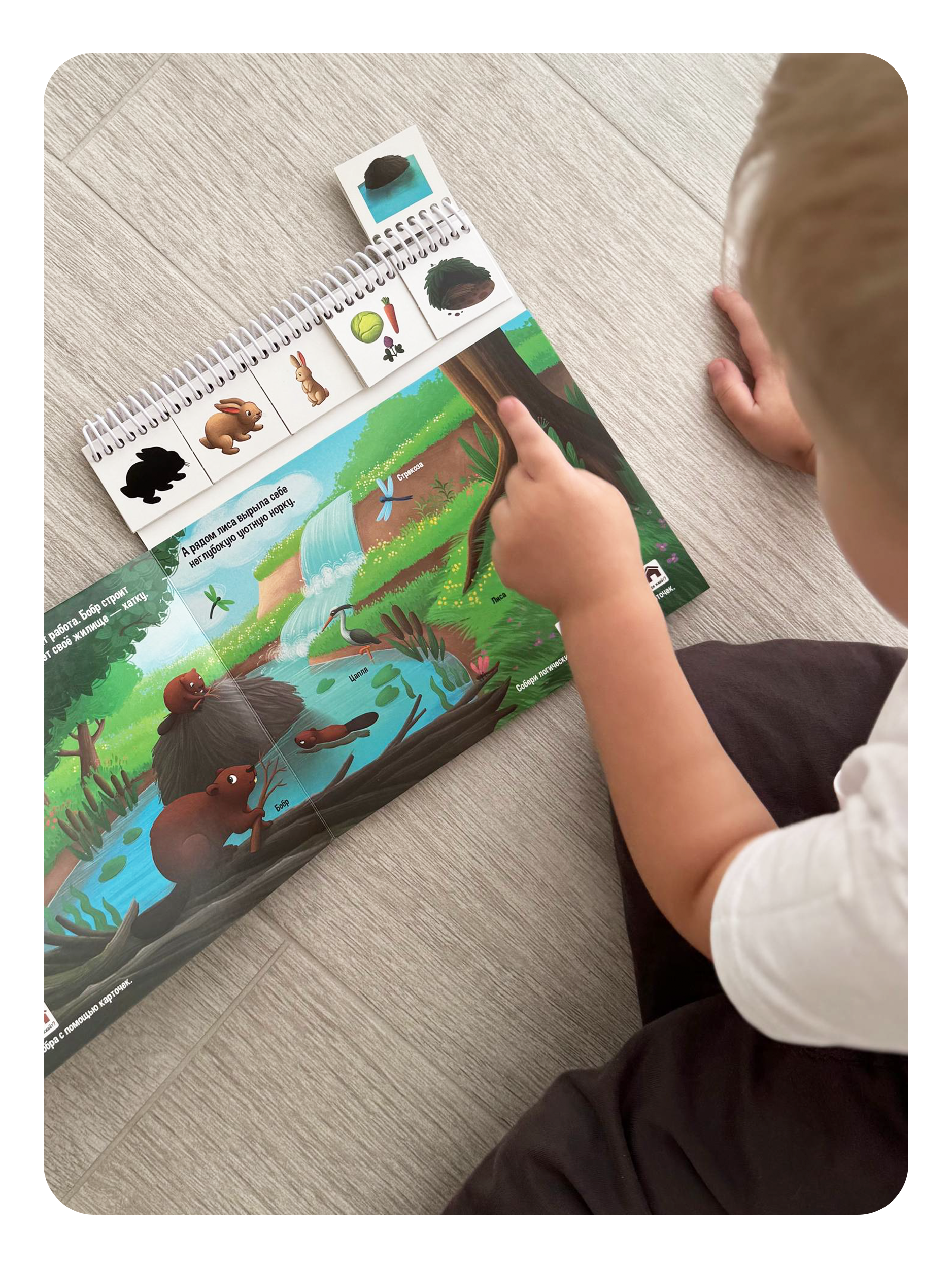 Энциклопедия для малышей Malamalama Развивающая книга Животные - фото 9