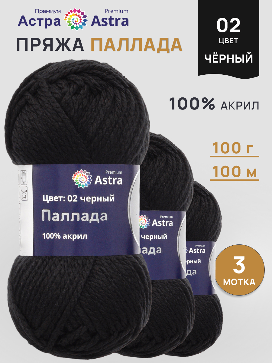 Пряжа Astra Premium Паллада акриловая 100 г 100 м 02 черный 3 мотка - фото 1