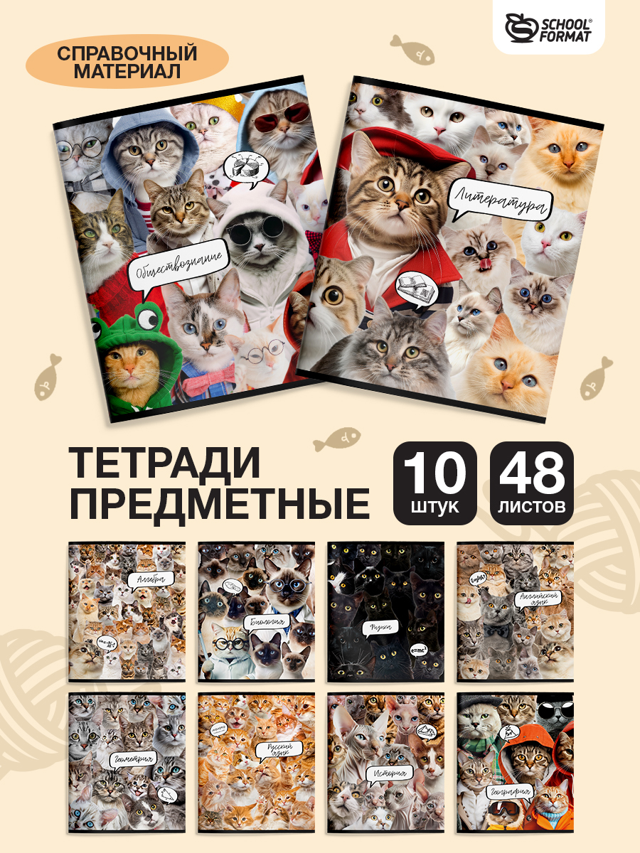 Тетрадь SCHOOLFORMAT 48 лист. 10 шт. - фото 1