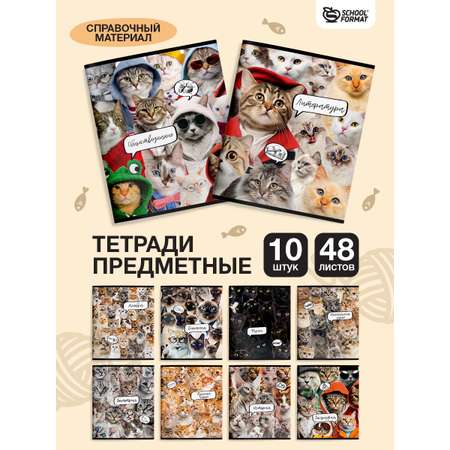 Тетрадь SCHOOLFORMAT 48 лист. 10 шт.