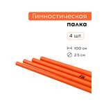 Активная игра FN Plastic Stick 1 м