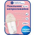 Поильник Canpol Babies 270 мл