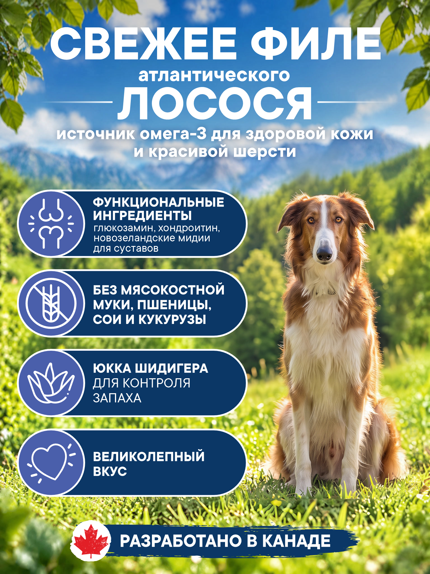 Корм для собак сухой Pronature Holistic Atlantic для кожи и шерсти на лососе с рисом 10кг - фото 2