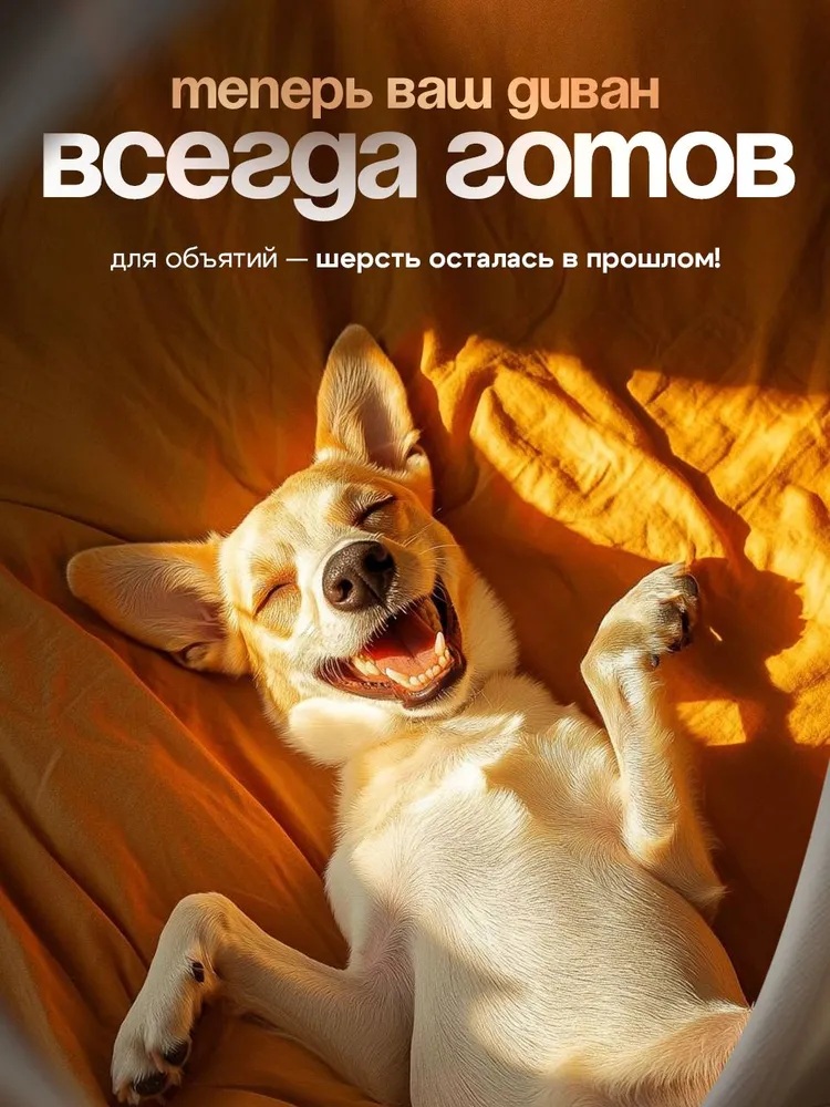 Моющий пылесос с функцией чистки мебели CASTLELADY и влажной уборки, пылесос для химчистки ковров и диванов 31 000 Па - фото 11