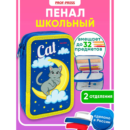 Пенал книжка Prof-Press