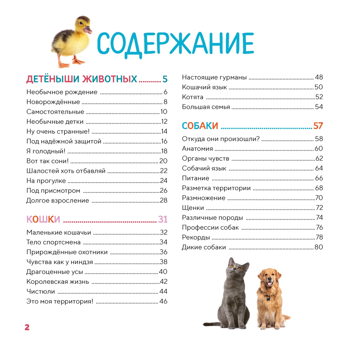Книга Махаон Энц Лепети Э Бурсэ К Эделин П Моя первая книга о животных 200 фотографий - фото 5