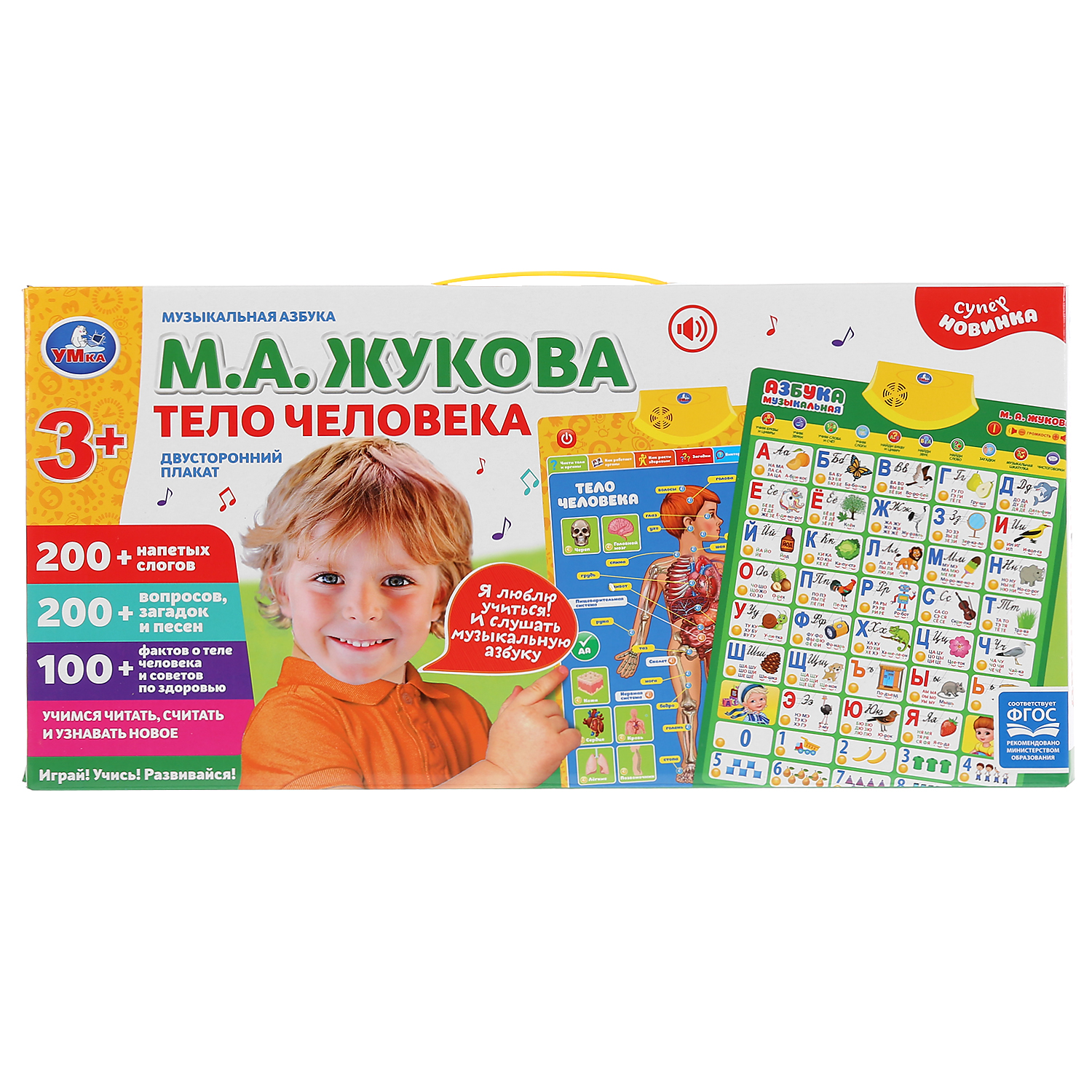 Обучающий плакат Умка Двусторонний Музыкальная азбука. Жукова тело человека - фото 2