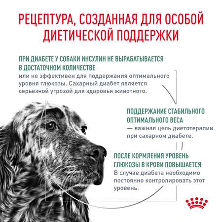 Корм для собак ROYAL CANIN Diabetic DS37 при сахарном диабете 12кг