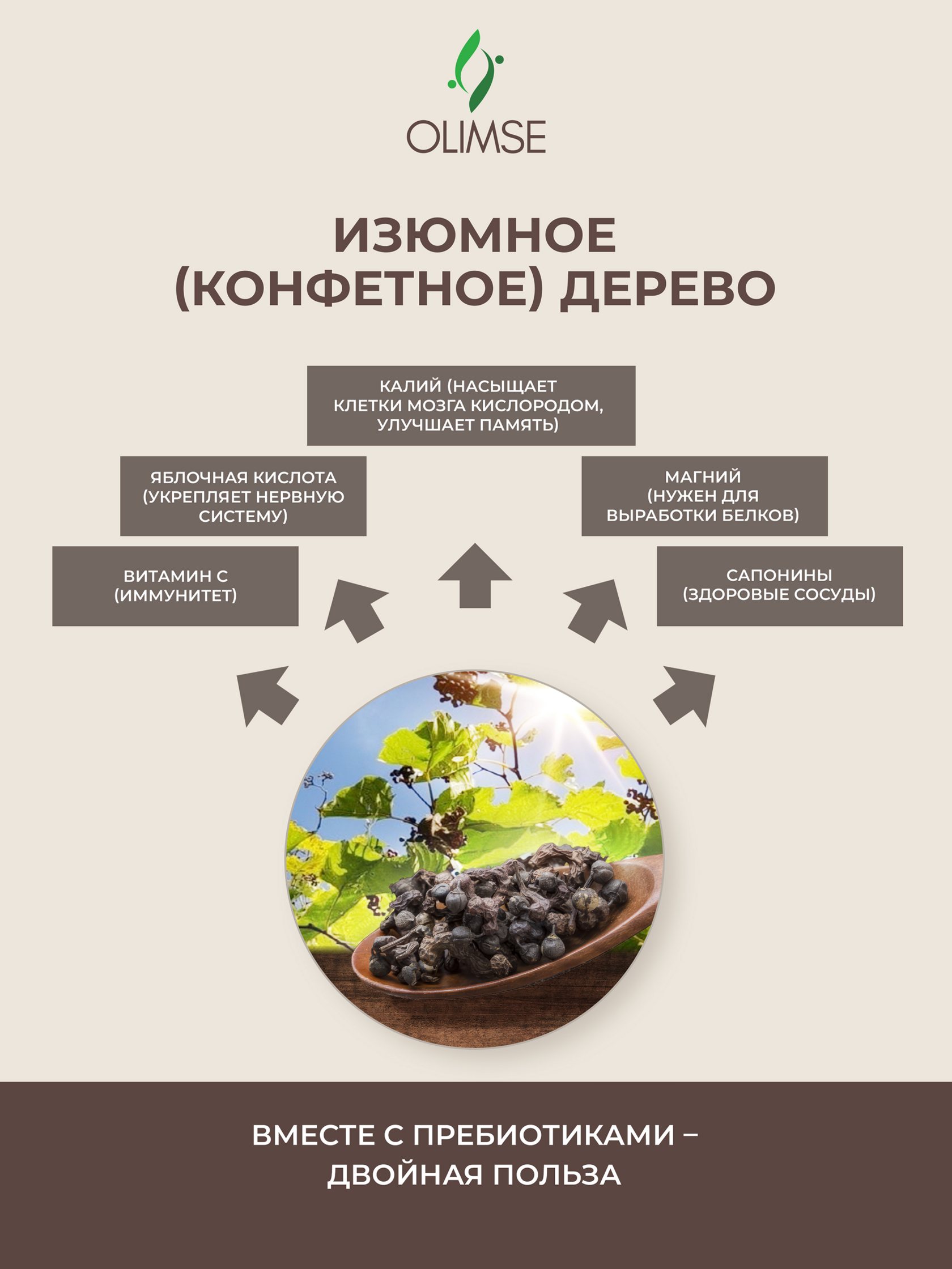 Коллаген Olimse Изюмное дерево - фото 13