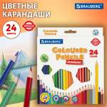 Карандаши цветные Brauberg 24 шт.