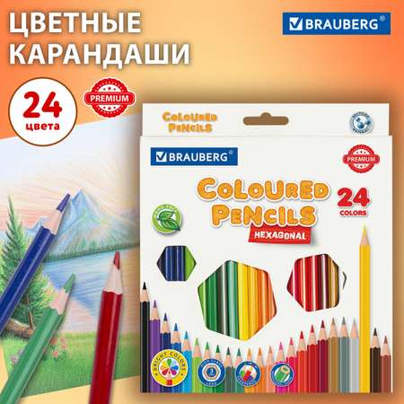 Карандаши цветные Brauberg 24 шт.
