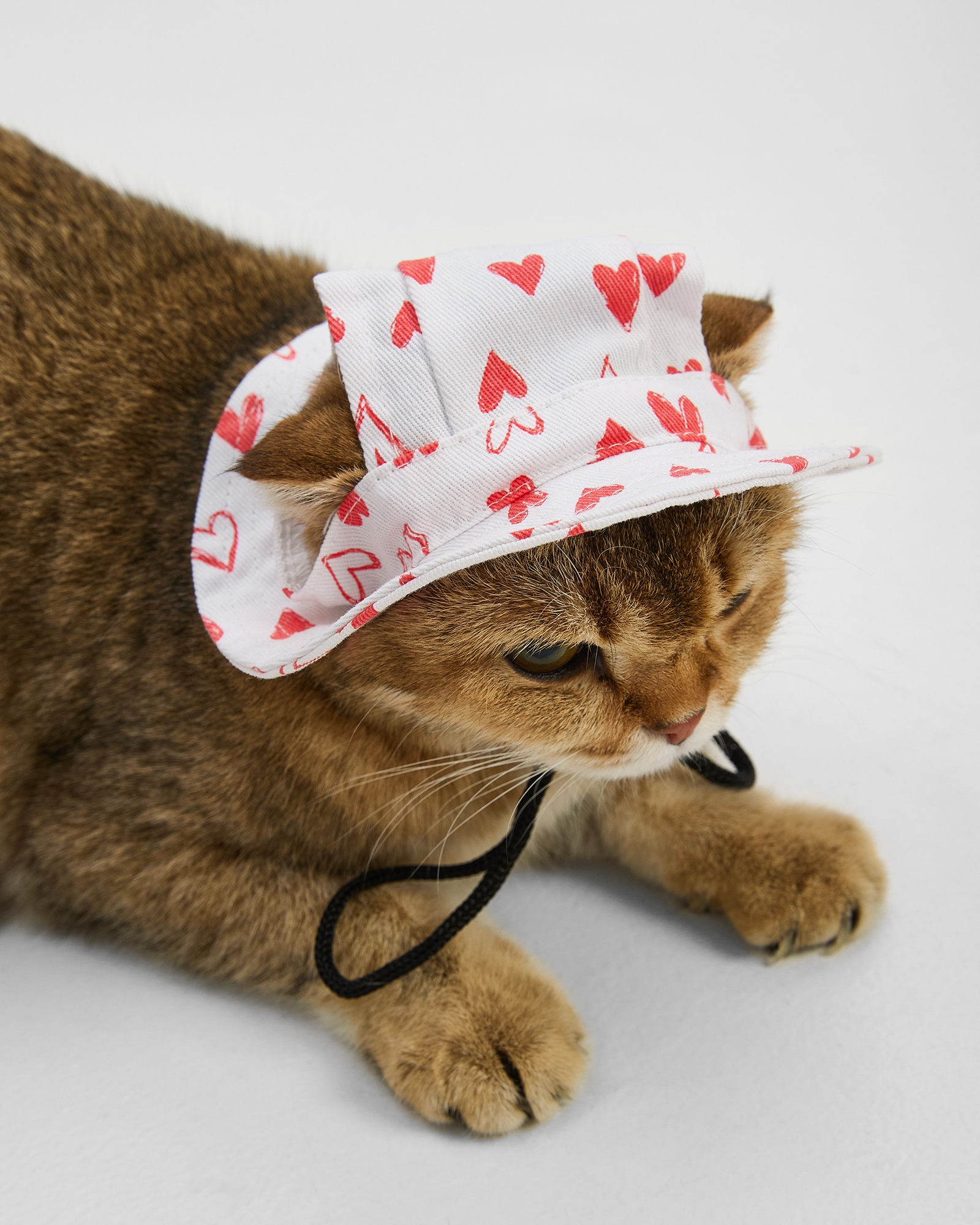 Панама для собак Зоозавр - фото 8