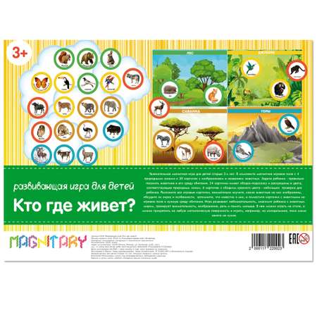 Настольная игра Магнитарий