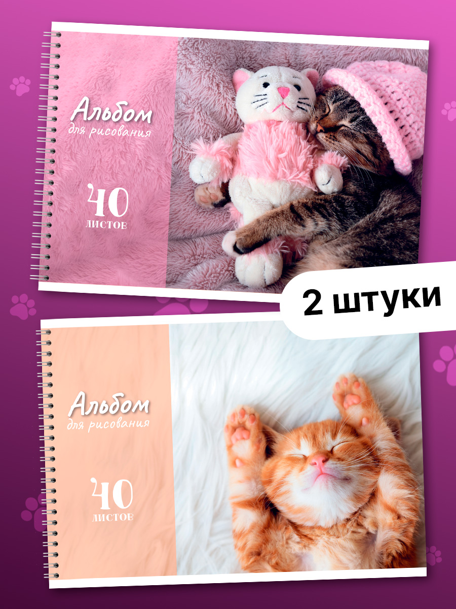 Альбом AXLER А4 40 лист. 2 шт. - фото 1