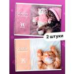 Альбом AXLER А4 40 лист. 2 шт.