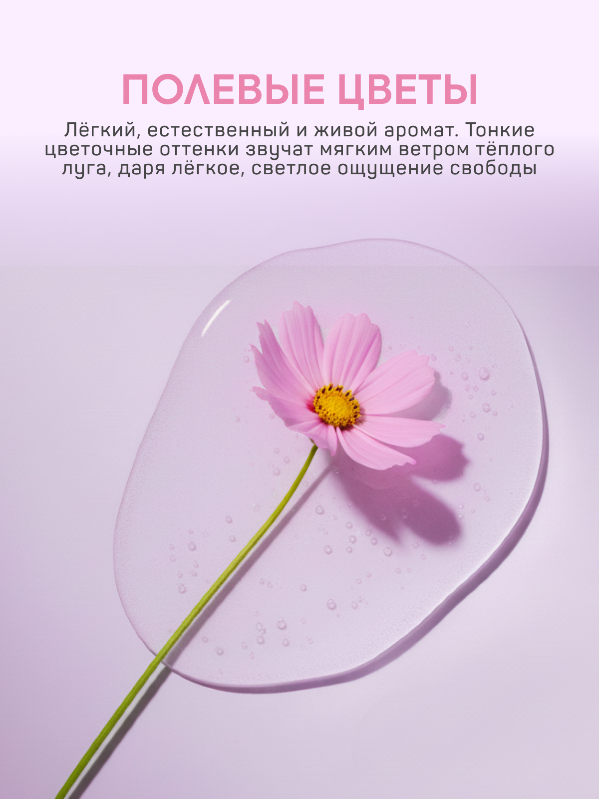 Мыло жидкое Sanfito 5000 мл - фото 2