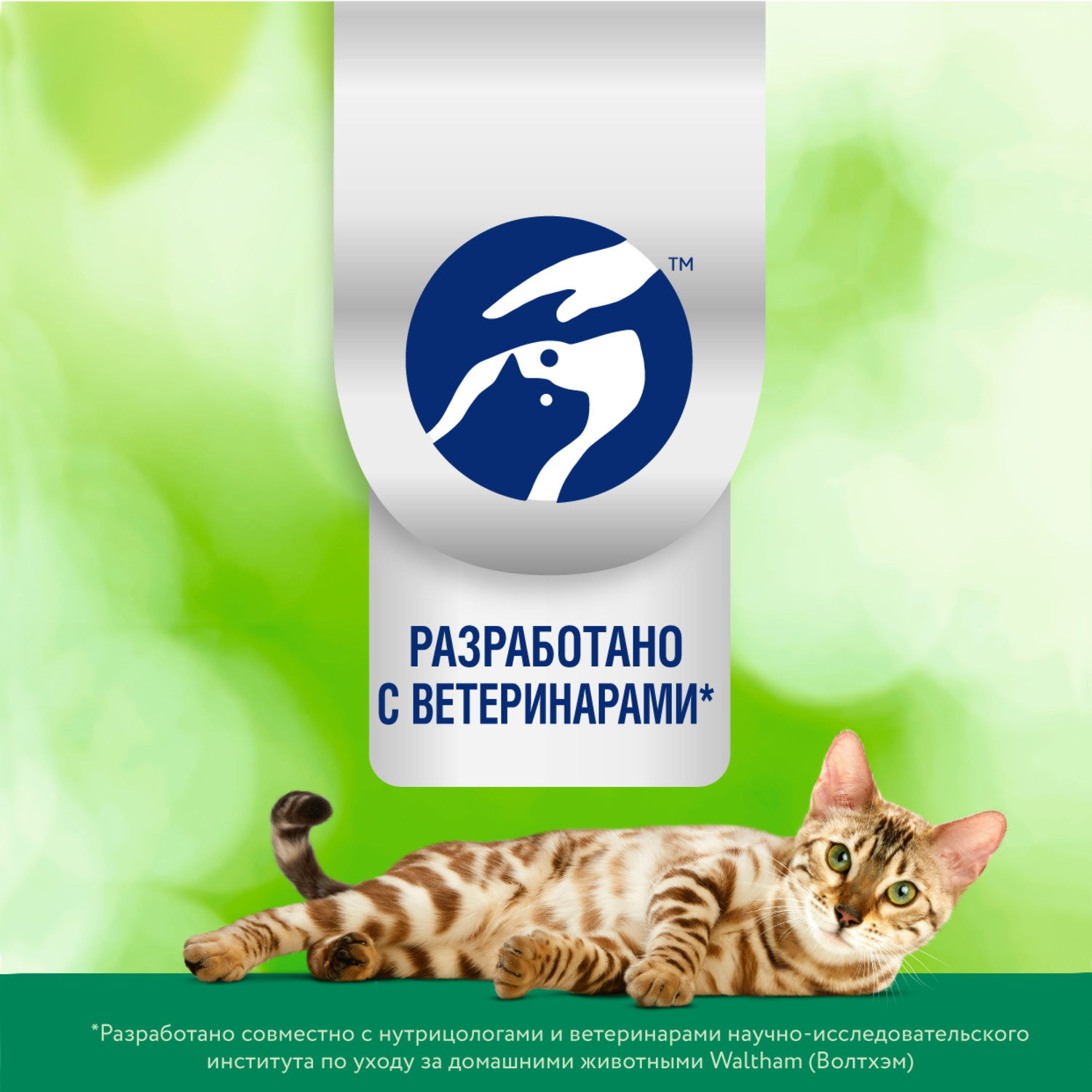 Корм для кошек Perfect Fit 580г Immunity для поддержания иммунитета индейка с добавлением спирулины и клюквы сухой - фото 16