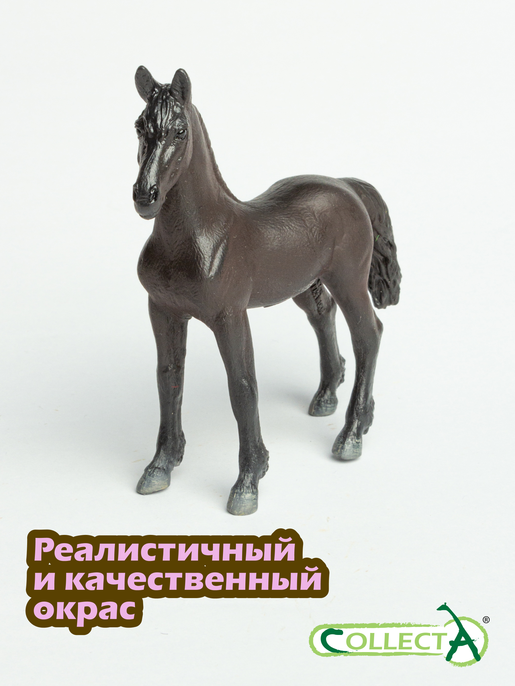 Фигурка Collecta Жеребёнок Фризской лошади - фото 4